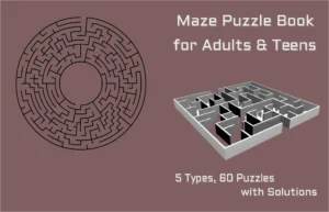 maze_puzzle_book_cover